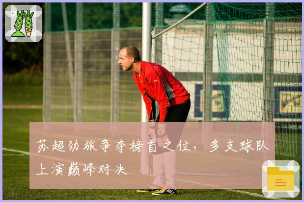 苏超劲旅争夺榜首之位，多支球队上演巅峰对决