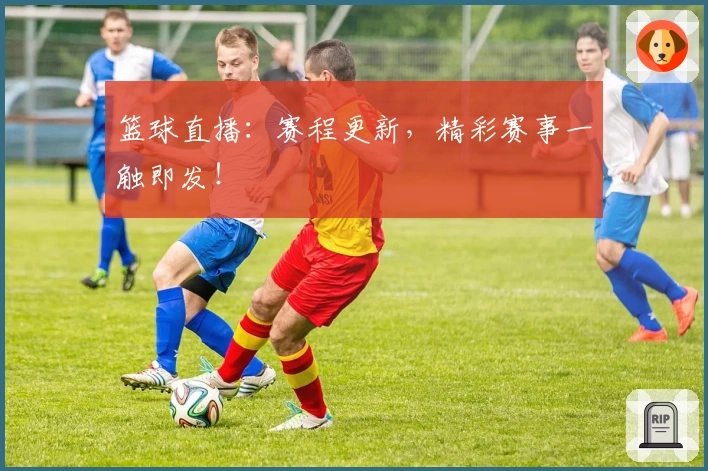 篮球直播：赛程更新，精彩赛事一触即发！